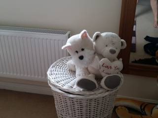 caught in the mirror