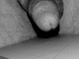 For your viewing pleasure