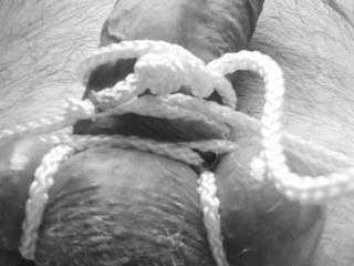 tied cock