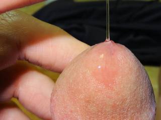 my cock