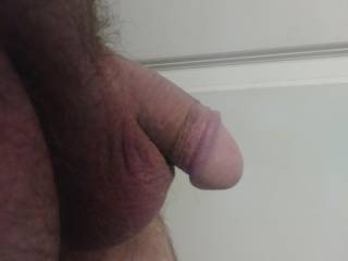 Need someone to make me hard and empty my balls.