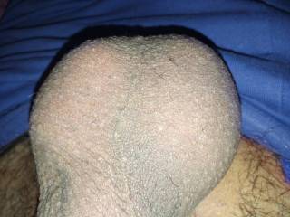 Shaved!