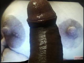 cock tribute for HorneyH