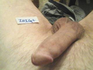 Playing on zoig, getting nicely hard.