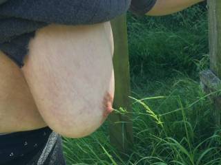 Hanging down her big tits as she leans forward, so the guest can tie her hands to the top rail of the fence in front of her