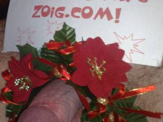 xmas cock