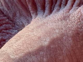 Close up cock and balls.