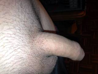 Just shaved my pubes , what you guys think?