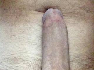 Woke up and thought about having my cock sucked.  Any takers?
