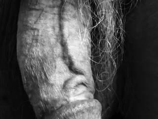 A close up from an older friends photo session.   Impressive vein