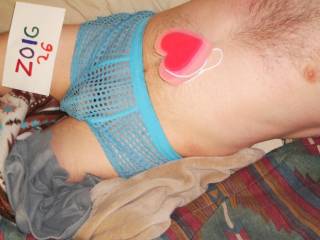 A side view of my undie as I lay upon my bed after hibernation. A W290 camera was used.