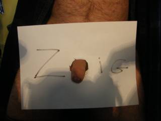 new zoig logo lol