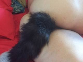 Trying out a tail for the first time. Let me know what you guys think!