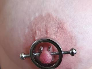 Just a little bit of nipple play with the wife\'s new clamps