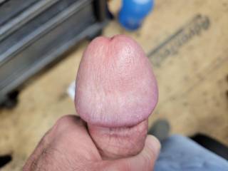 My cock