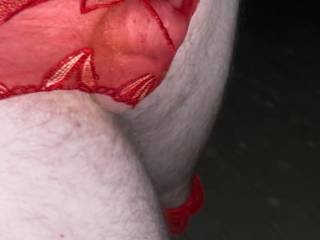 My Ginger cock In woman’s transplant panties Walking around in Public at night