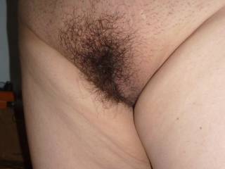 Wife's hairy pussy
