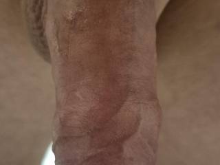 Cock pic