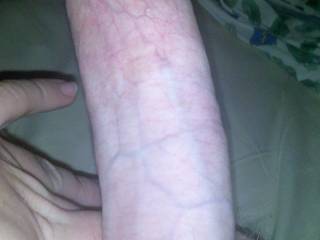 How's it look??