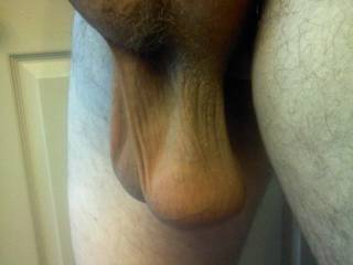 just my heavy balls after a warm shower. you like?