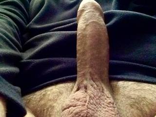 Just me. Lazing about. Anyone care to join me?