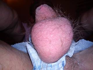 you like it?