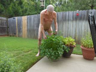 Naked, and checking the parsley