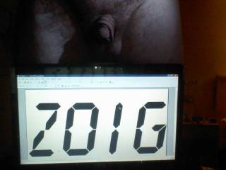 zoig spelled backwards using a font I think is pretty cool.