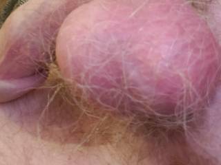 My full hairy balls

I need to unload them

Where do you want my cum