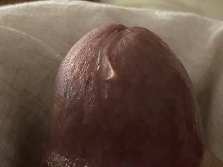 I wish you were here to lick me clean