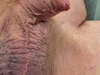 Willie looking for a friend