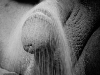 cock