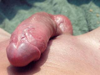 dick