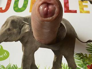 This trunk’ really is rather obvious