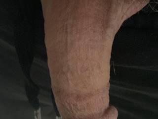 Hanging out looking to get up to no good! 👿👿