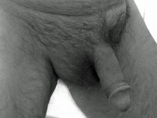 An older pic: Need a playmate.