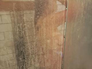 Just another shower pic for thise who liked the other one....do you like?