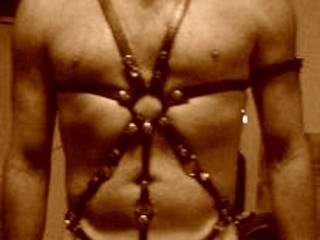 one of my favorite homemade harnesses