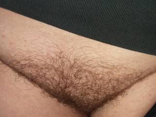 One of my exes hairy pussy. My cock would get so hard for her bush. She loves to fuck. She also has huge tits. I will try and find a pic of them. What would you do to her beautiful pussy? Tell me