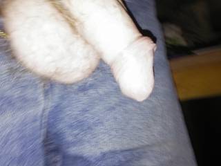 my cock anyone like to have fun ???
