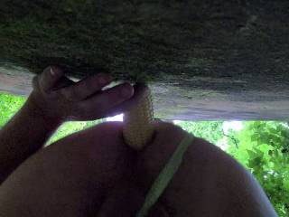 Playing my favorite new outdoor game, corn (in the) hole