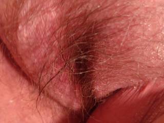 gf`s hairy pussy