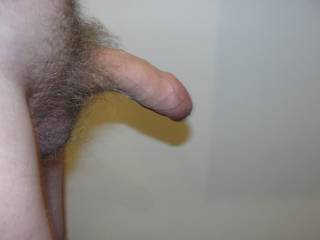 My Cock