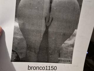 tribute to sexy bronco1150