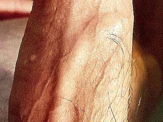 my veiny cock