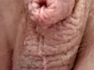 All pulled up waiting for some warm thing to come by.