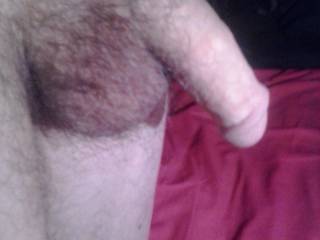 Just a side view.of my cock. Someone needs.to help me out. 
Its looking for you  are you out there.