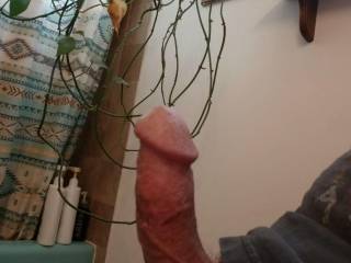 in illinois anyone wana suck it
