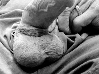 Homme Sexuelle - Noir et Blanc Classique: "Hubby\'s Woody"