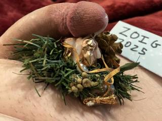 Got a little excited taking a Christmas picture and left a present for everyone to enjoy.